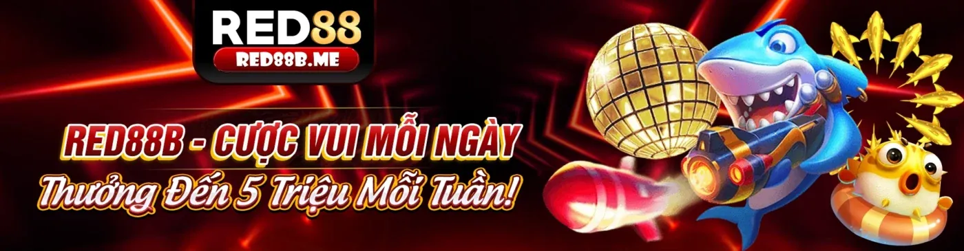 Các biện pháp bảo vệ dữ liệu của m8win