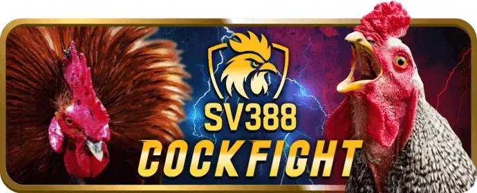 Thưởng chào mừng m8win đá gà